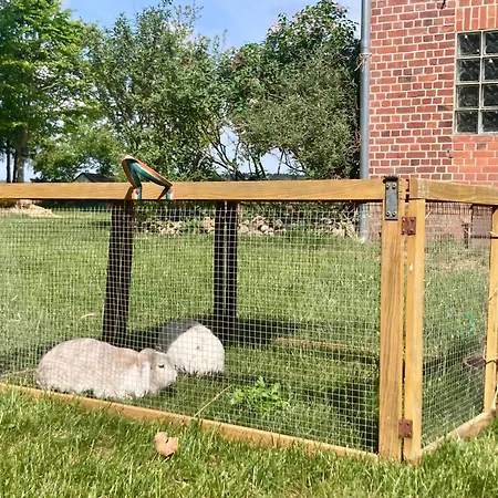 Kranich By Fewo-plan Wing141 Naehe Naturpark Wingst *