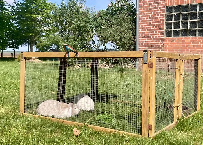 Kranich By Fewo-plan Wing141 Naehe Naturpark Wingst *